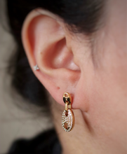 Load image into Gallery viewer, Stella