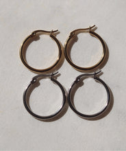 Load image into Gallery viewer, Brittany