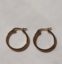 Load image into Gallery viewer, Brittany